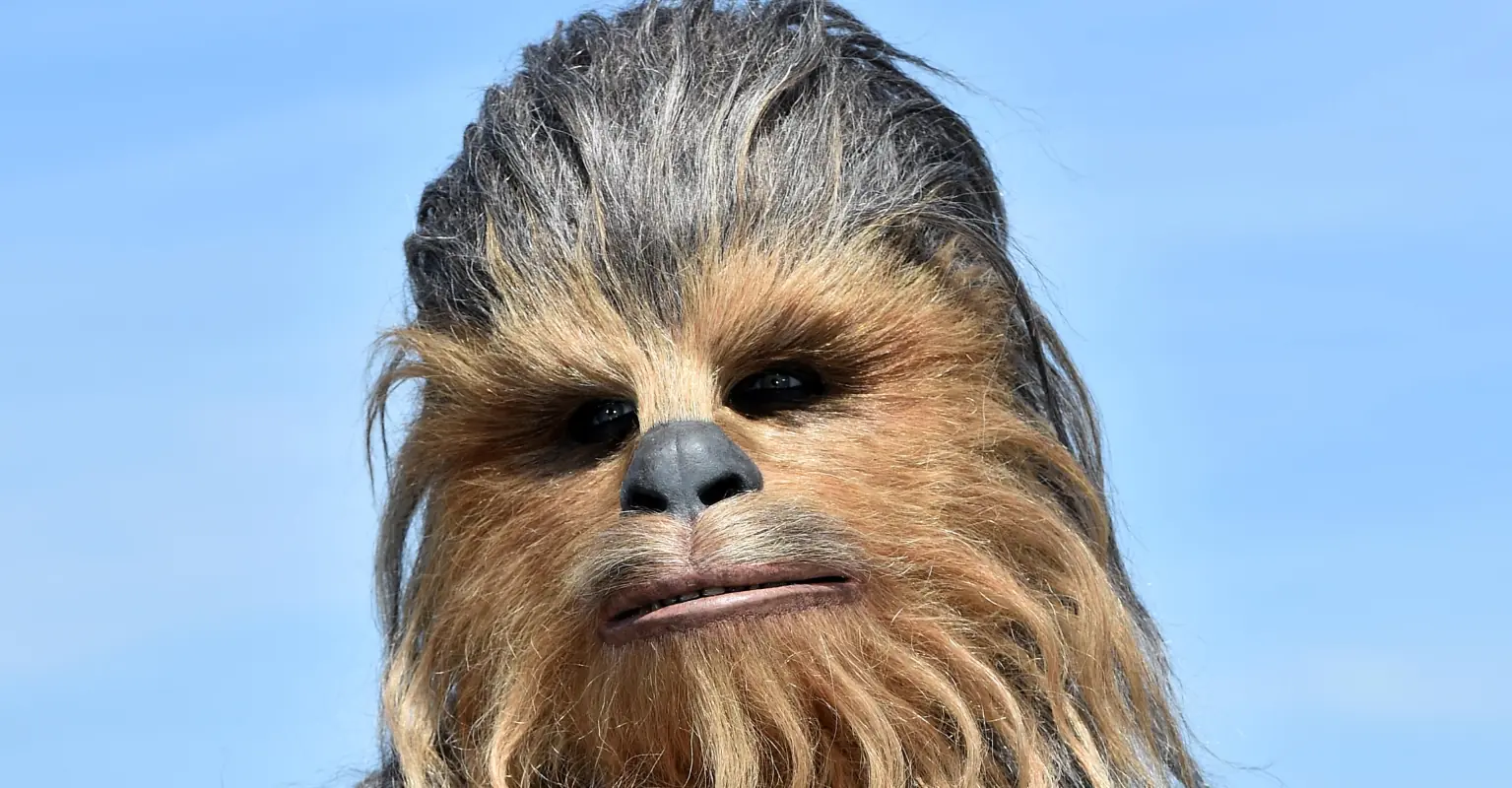 Tourist filmed 'shoving' Chewbacca at Disney World while character was interacting with children