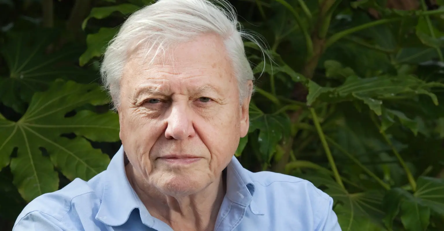 People are saying David Attenborough's latest warning should be 'compulsory viewing'