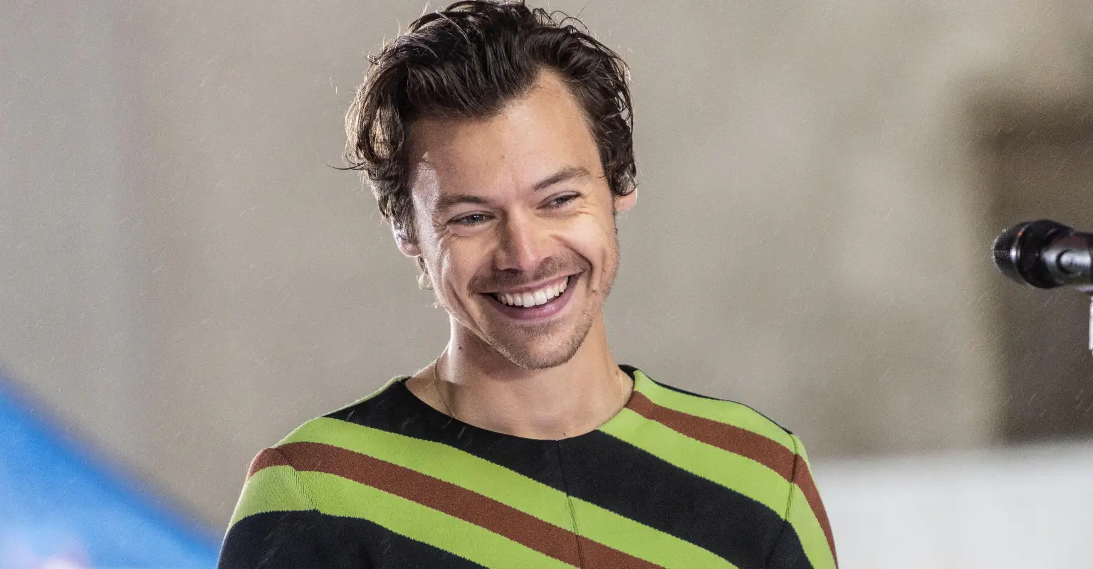 Harry Styles doubles over after being hit in groin with bottle on stage