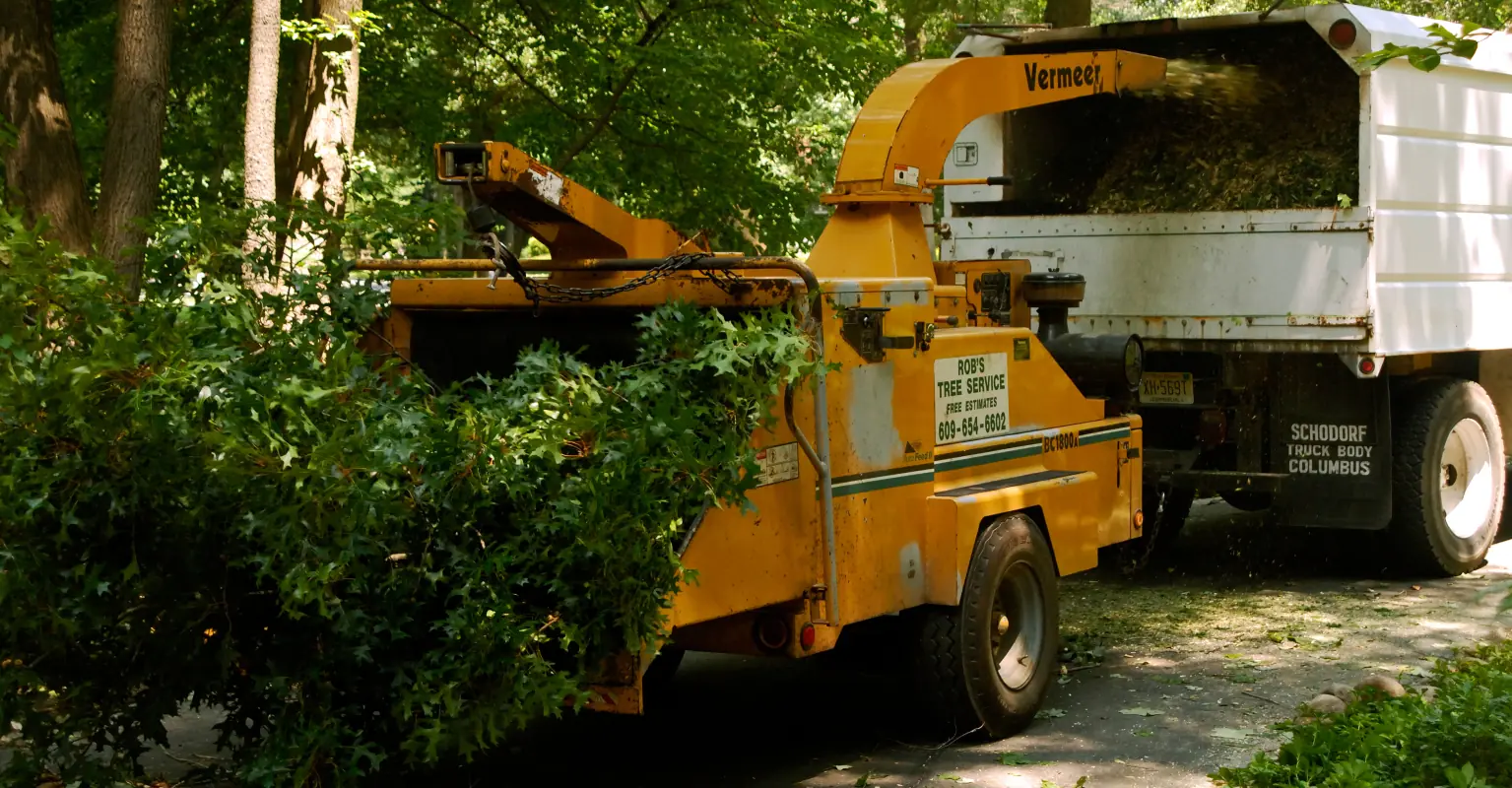 wp-image-1263173437 size-full