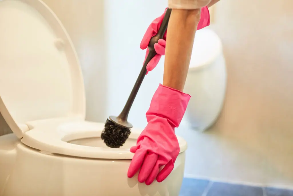 size-large wp-image-1263176541