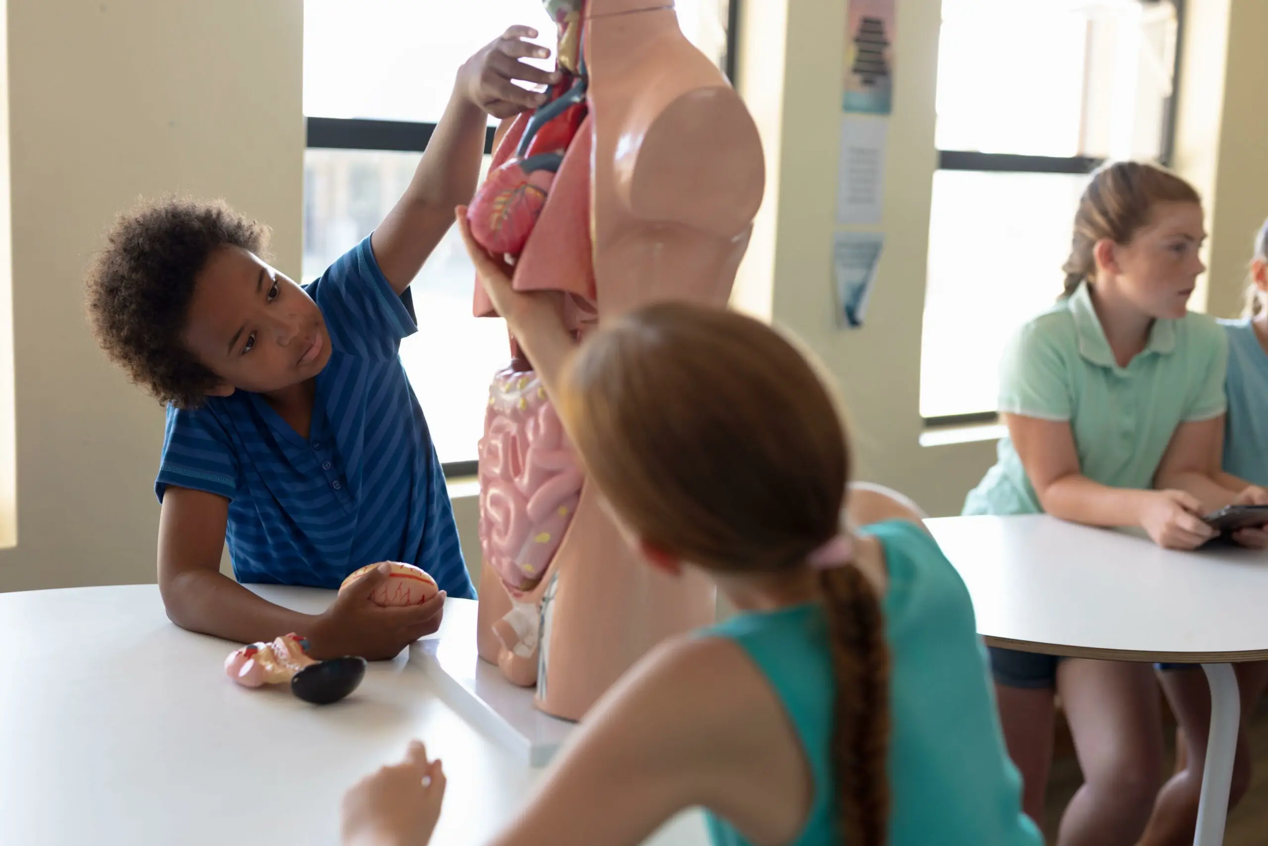 wp-image-1263176740 size-full