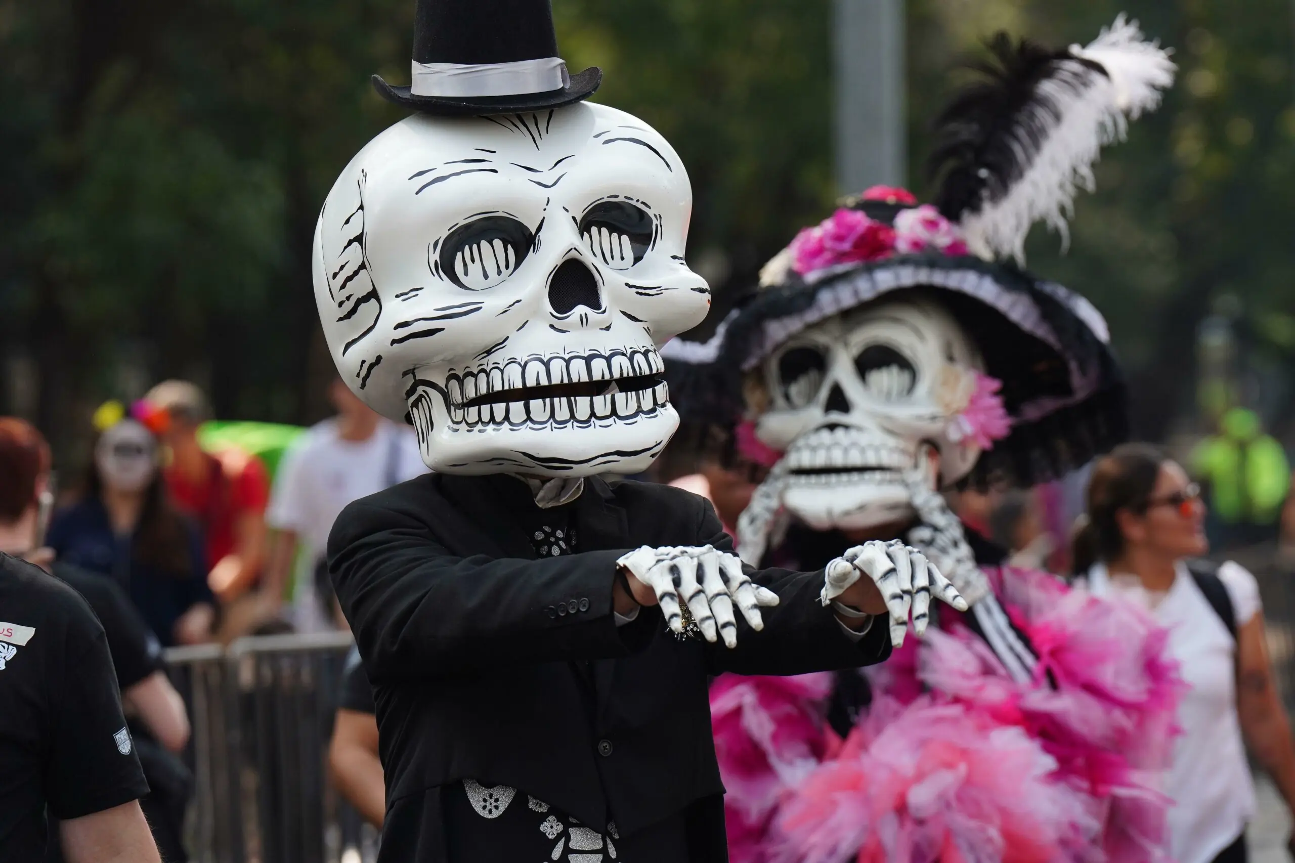 wp-image-1263177151 size-full