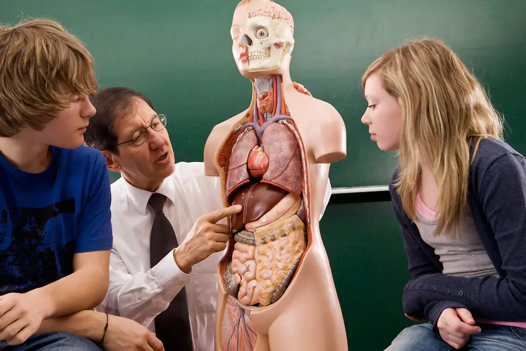 wp-image-1263176742 size-full