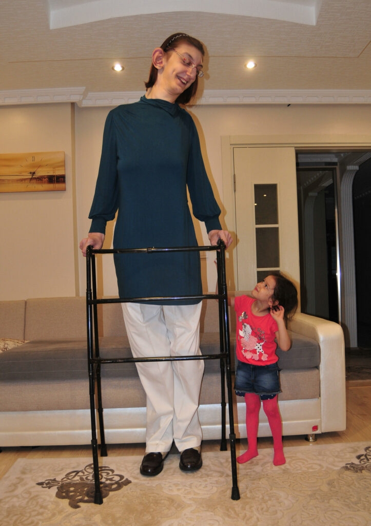 size-large wp-image-1263176364