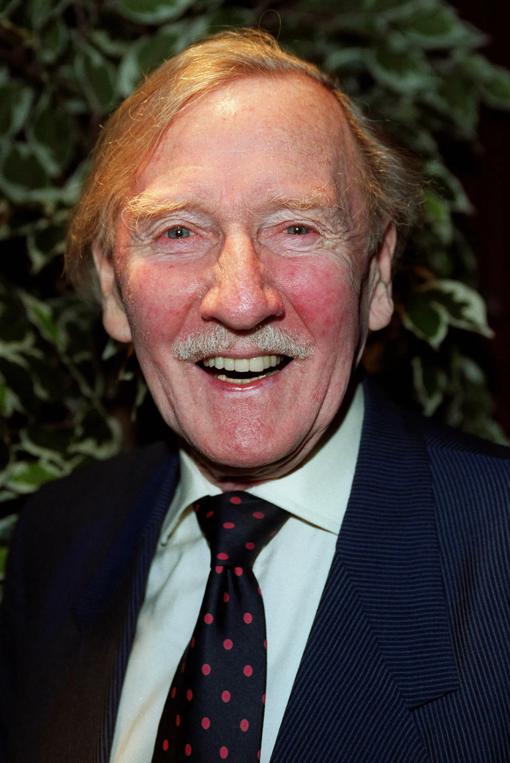 wp-image-1263176870 size-full