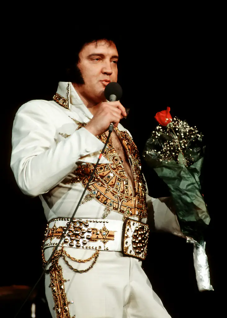 wp-image-1263177188 size-full