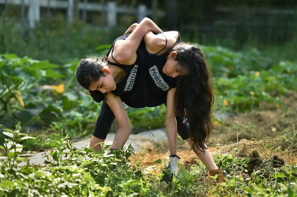 size-large wp-image-1263176399