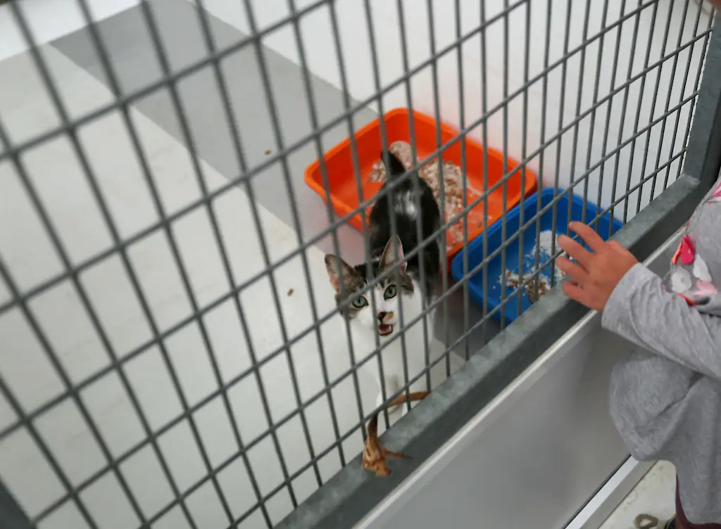 wp-image-1263177165 size-full