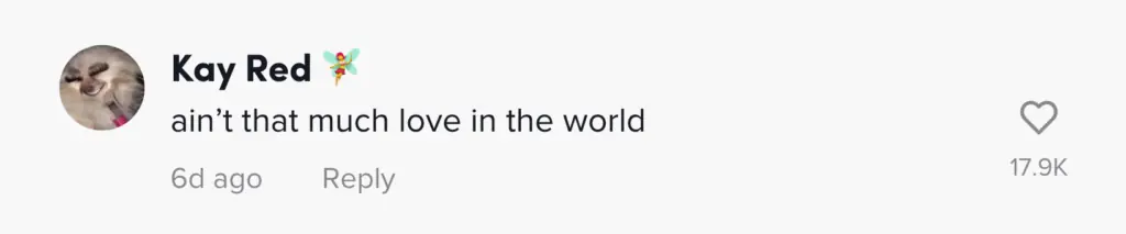 wp-image-1263175727 size-large