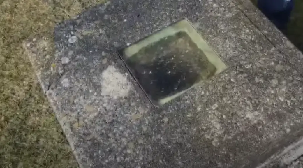 wp-image-1263176411 size-full