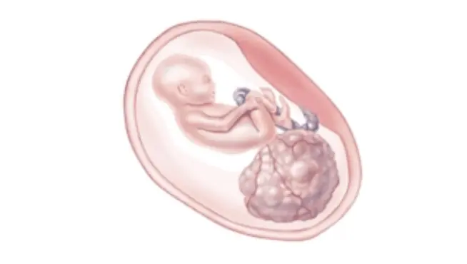 wp-image-1263176488 size-full