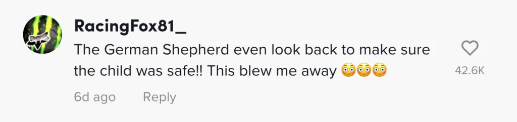 wp-image-1263178979 size-large