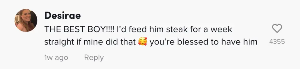 wp-image-1263178978 size-large