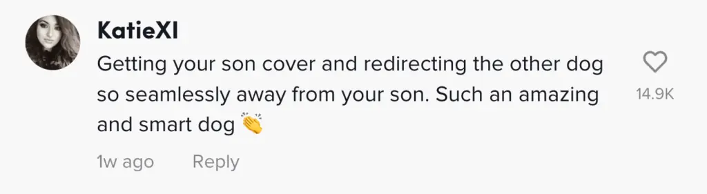 wp-image-1263178977 size-large