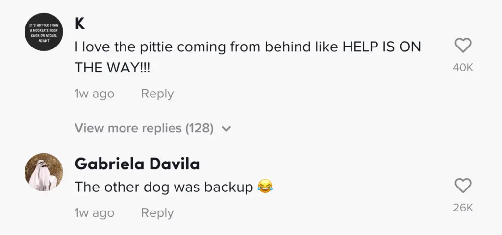 wp-image-1263178983 size-large