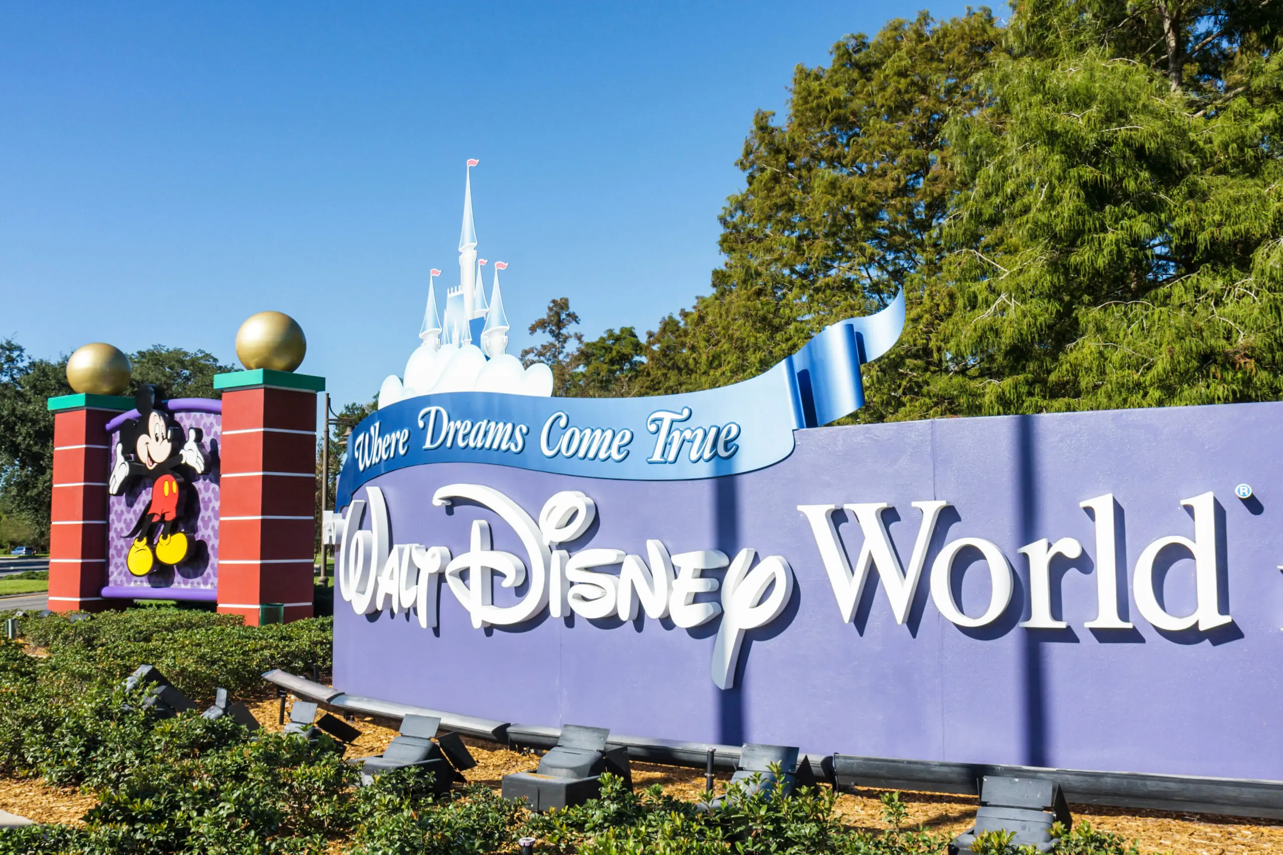 size-full wp-image-1263177145