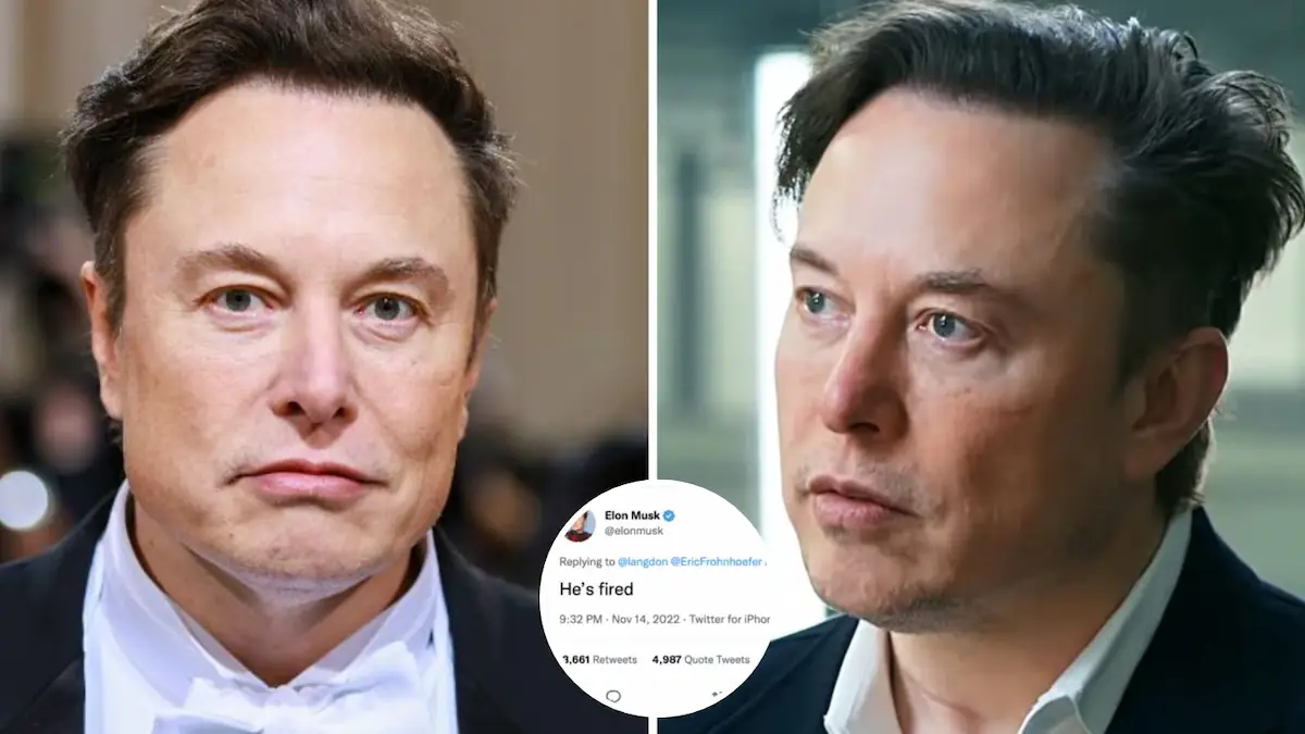 Elon Musk publicly 'fires' Twitter engineer who argued with him over ...