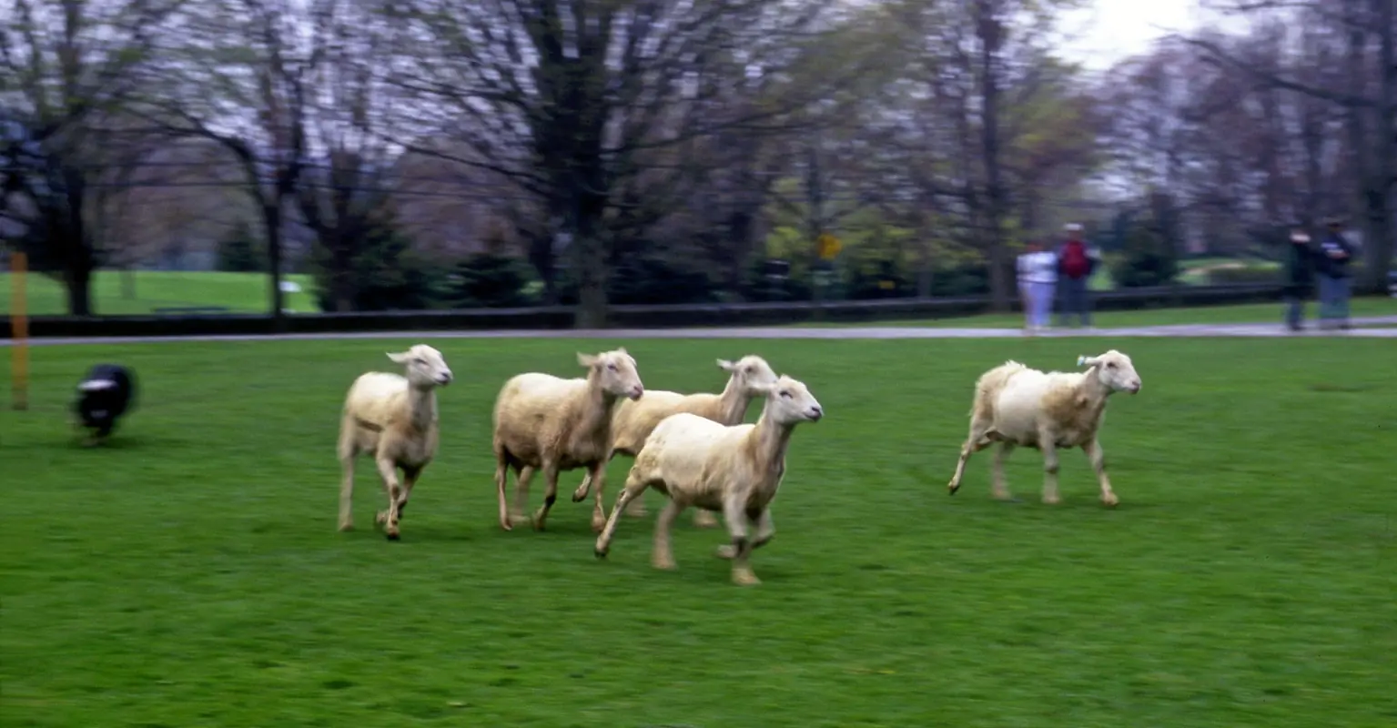 wp-image-1263179536 size-full