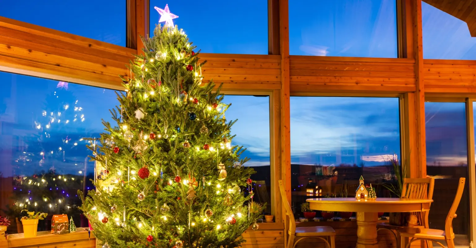 Social media users warned to check Christmas trees for clumps that 'must be removed immediately'