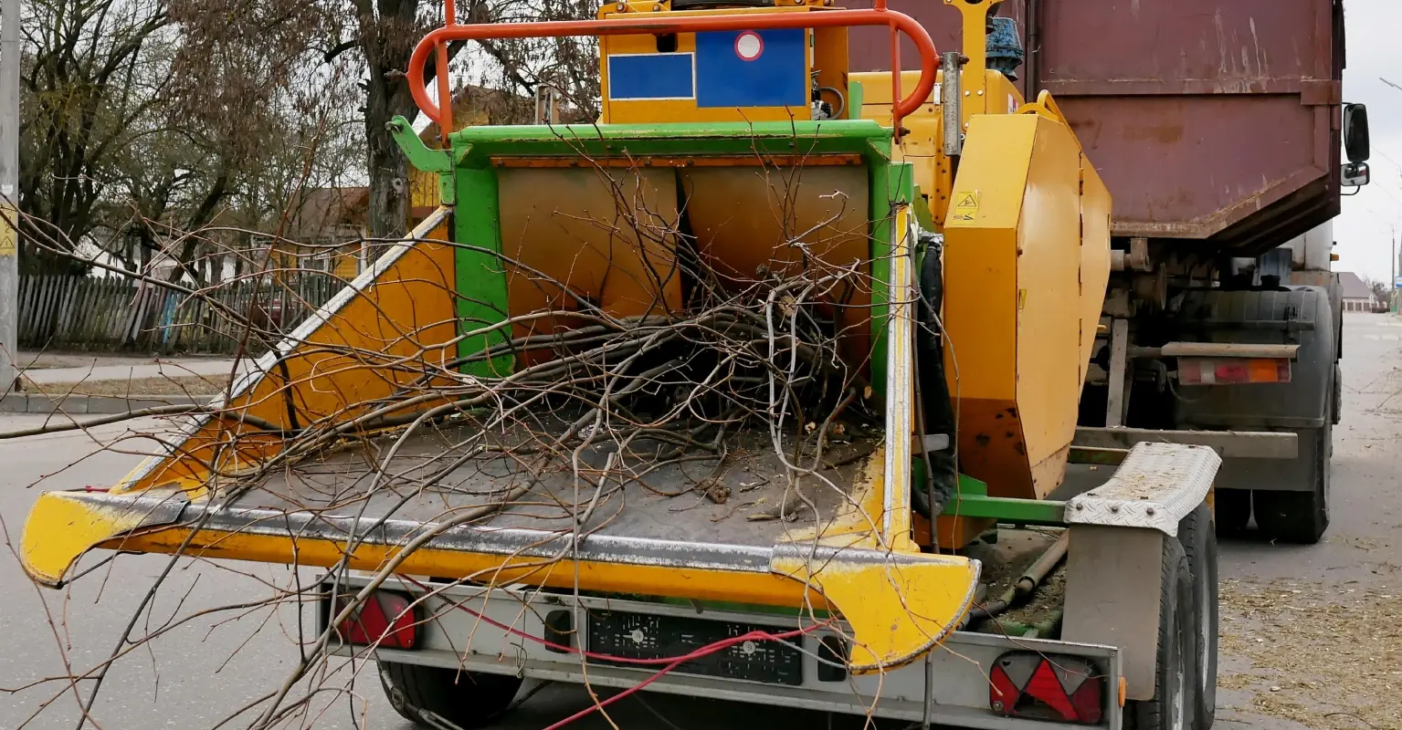 wp-image-1263180954 size-full