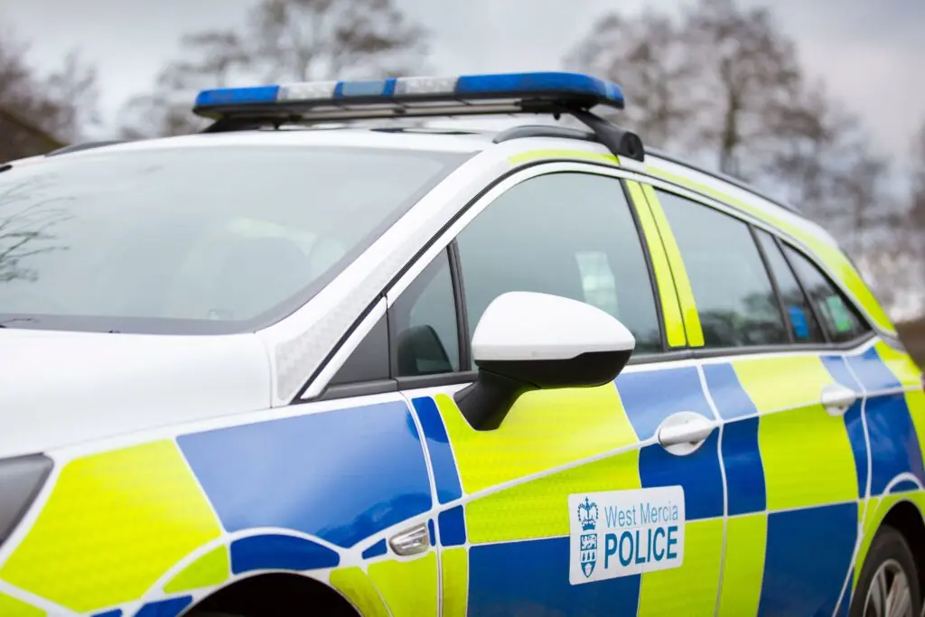 size-large wp-image-1263186282