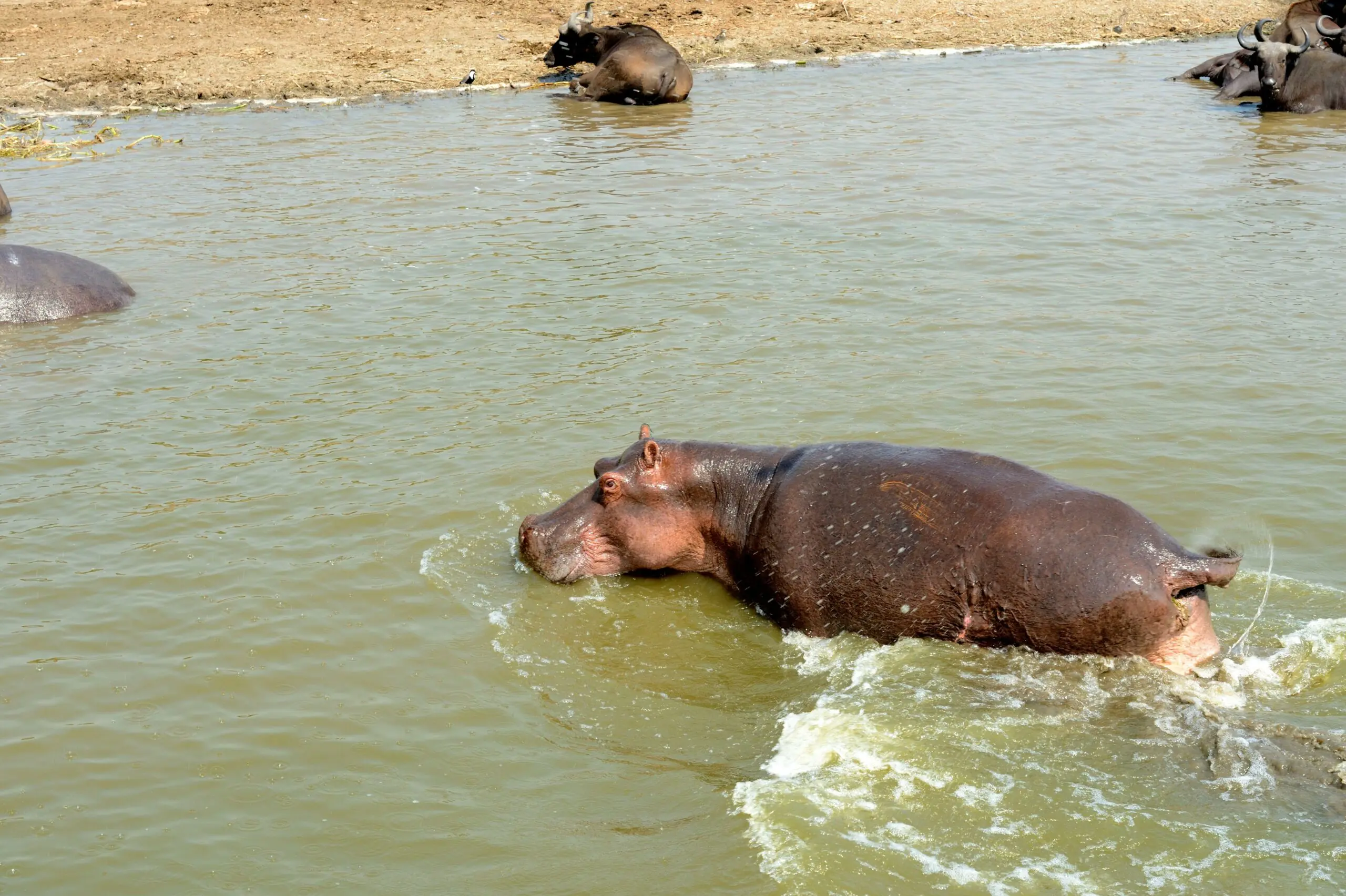 wp-image-1263184526 size-full