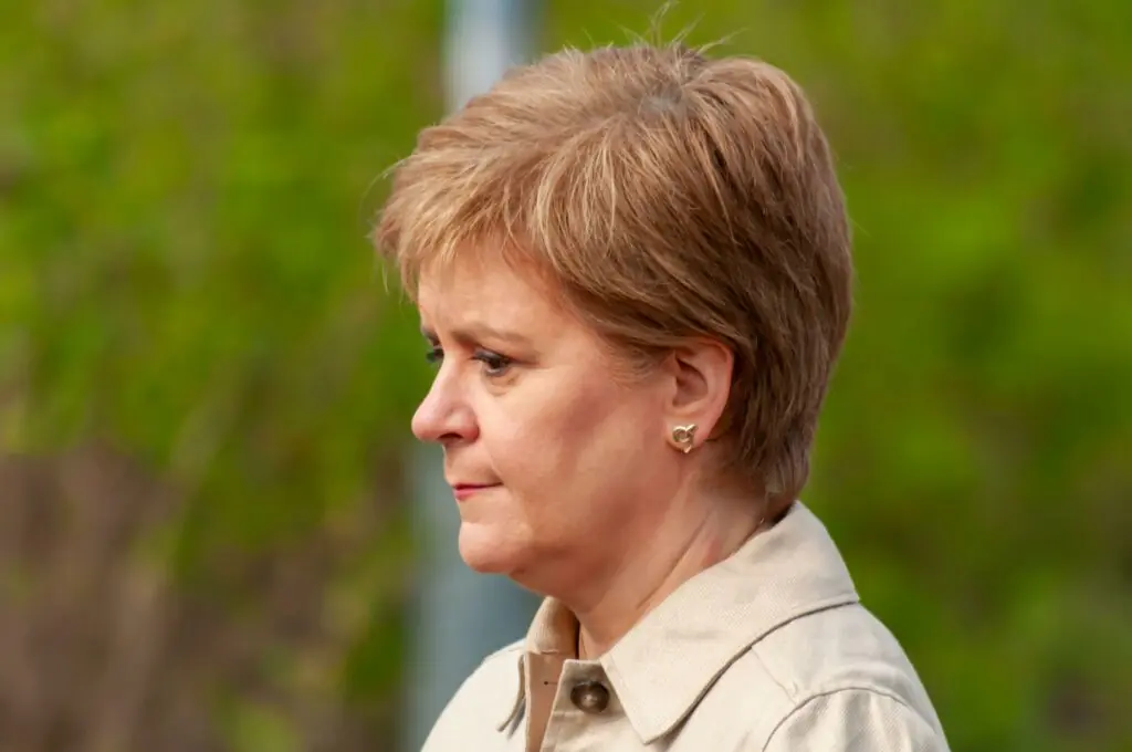 wp-image-1263185001 size-large