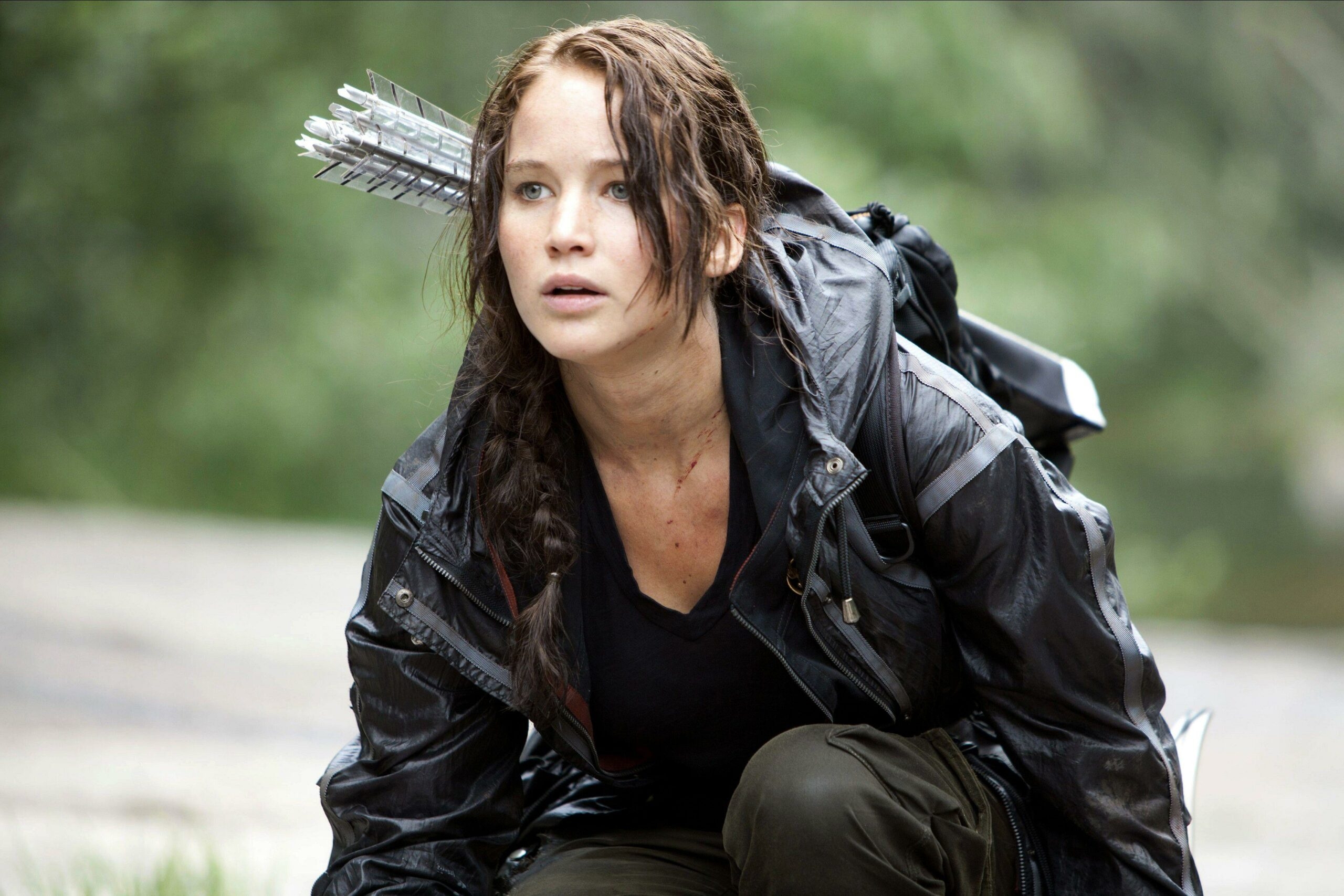 wp-image-1263182999 size-full