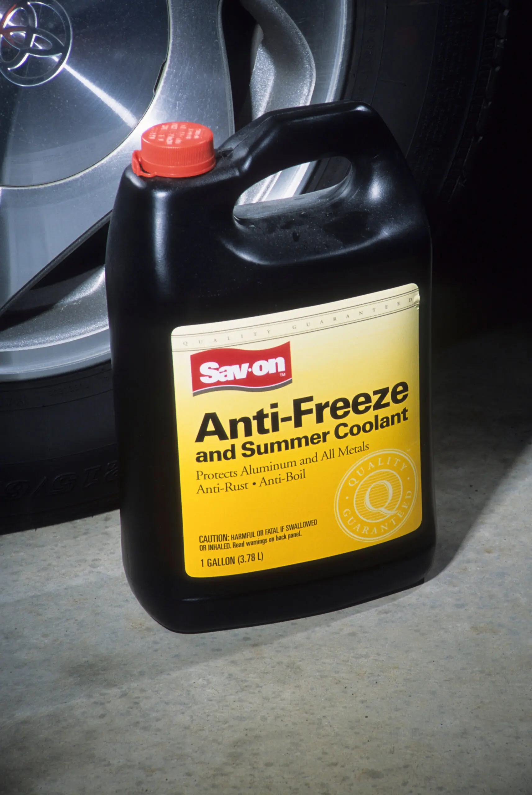 size-full wp-image-1263186386