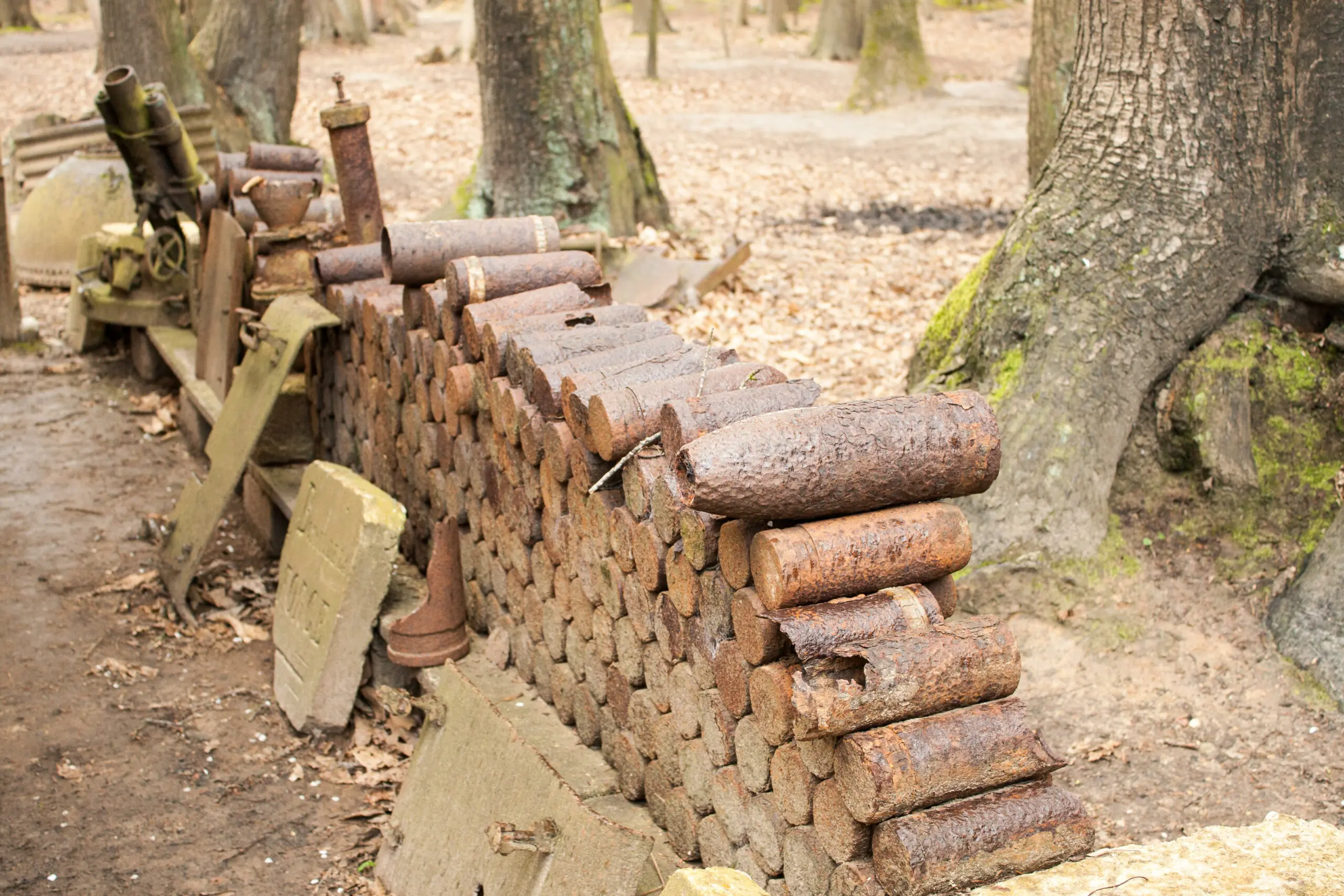 size-full wp-image-1263185278