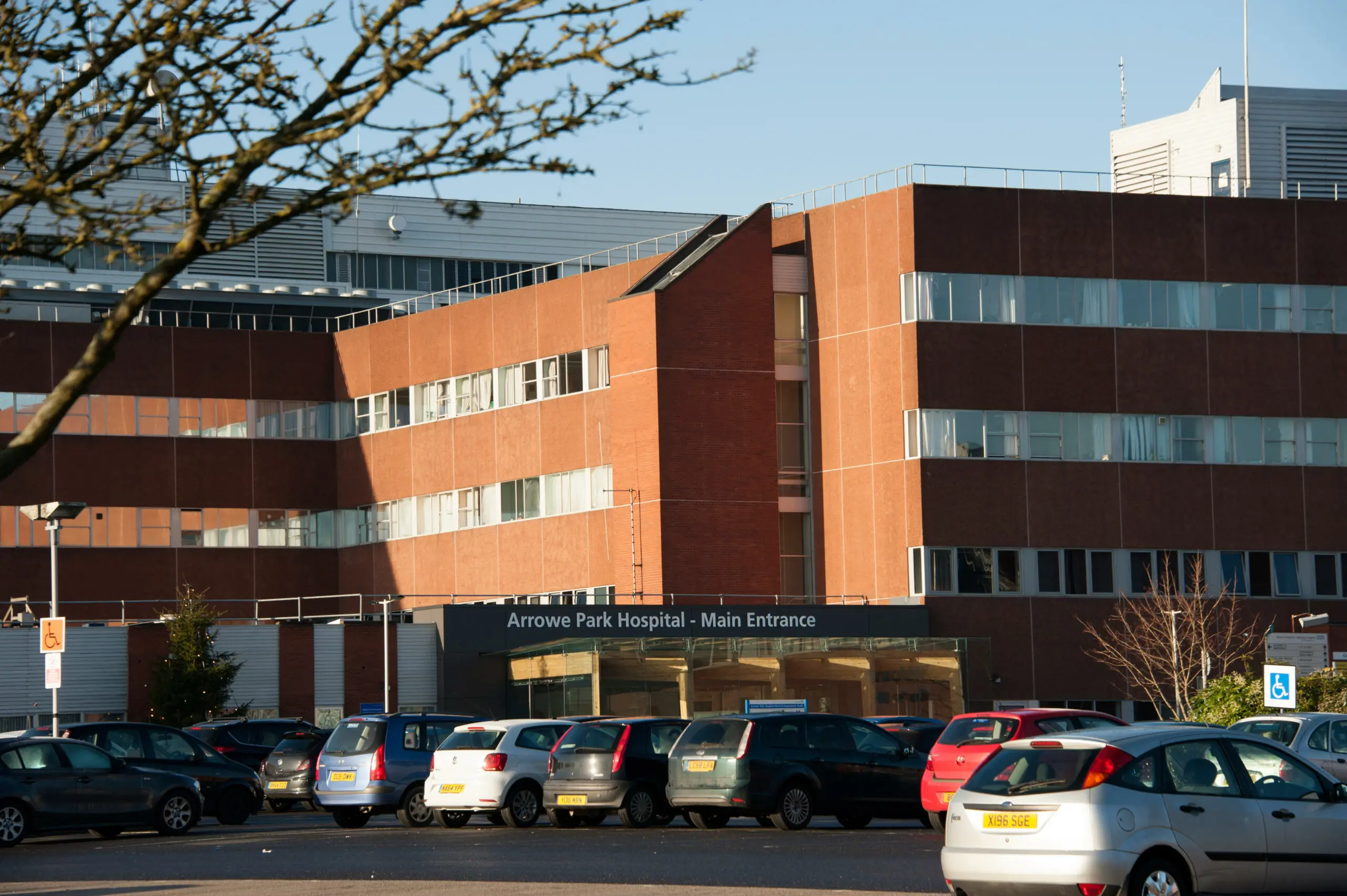 size-full wp-image-1263185653