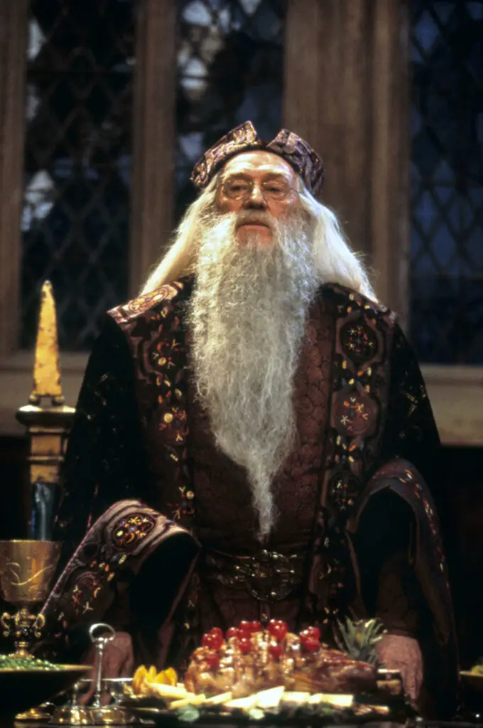 size-large wp-image-1263184384