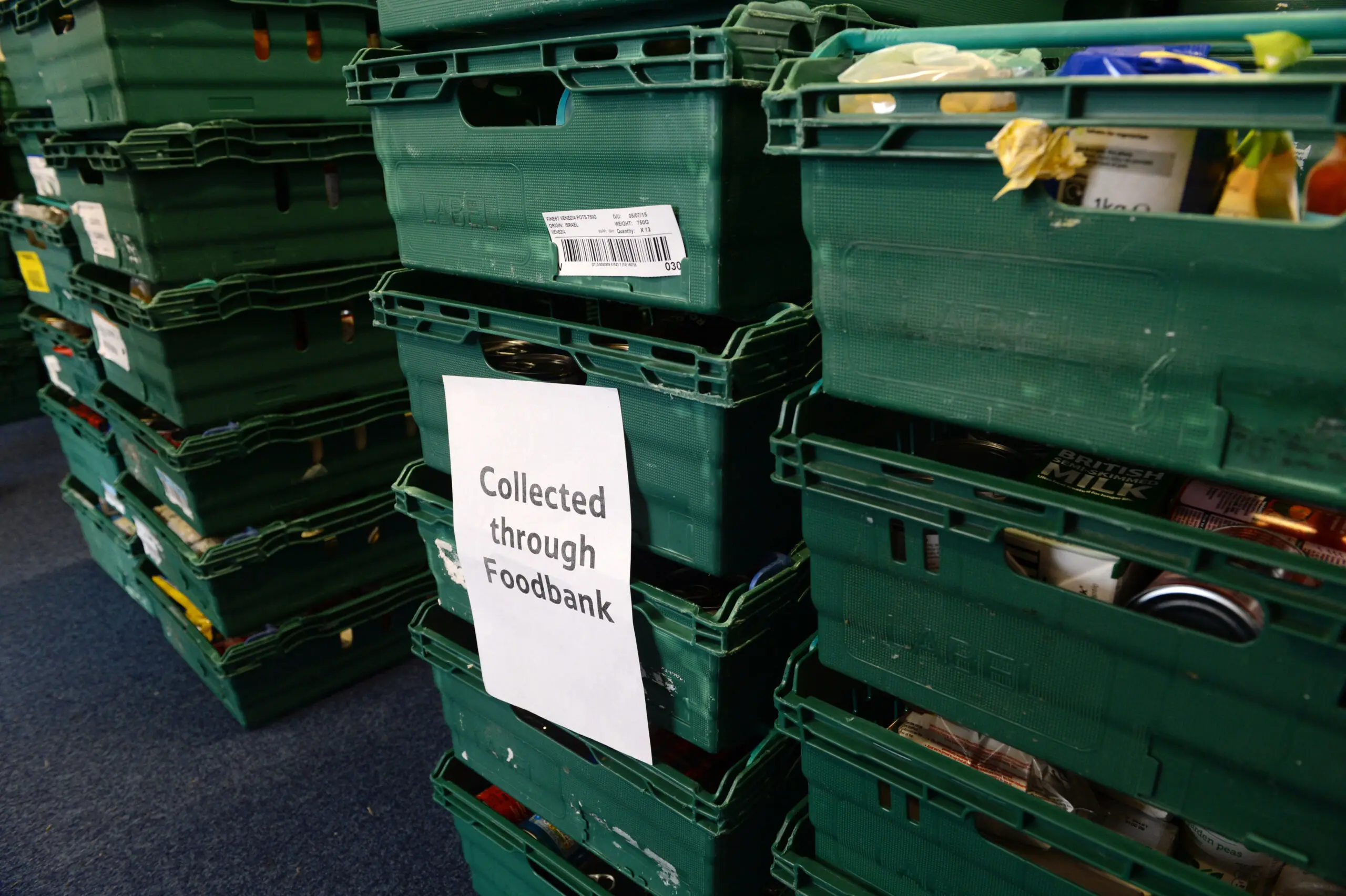 size-full wp-image-1263185355