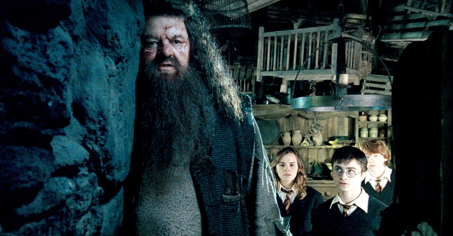 There are now 24 'Harry Potter' actors who have tragically passed away