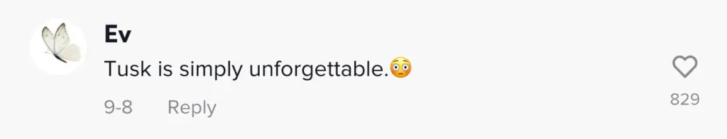 wp-image-1263181225 size-large