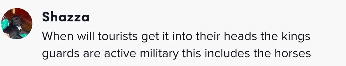 size-full wp-image-1263182757