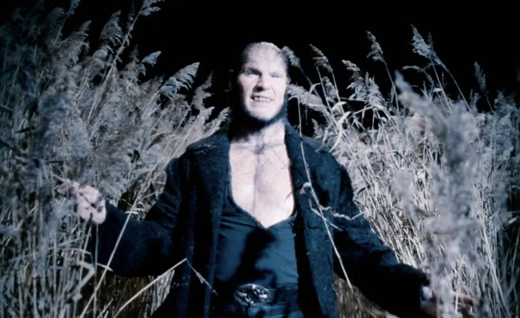 size-large wp-image-1263184394