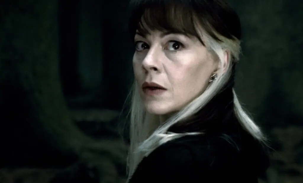 size-large wp-image-1263184405