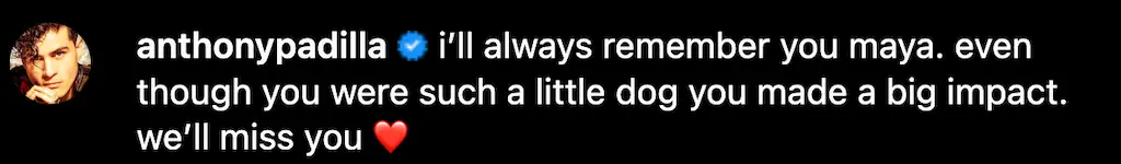 size-full wp-image-1263185426