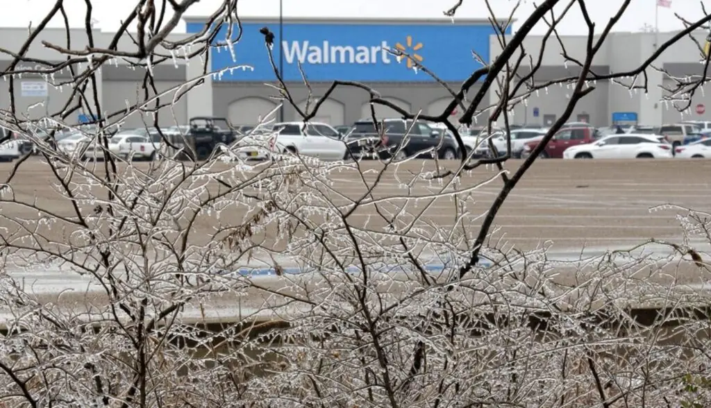 size-large wp-image-1263186062