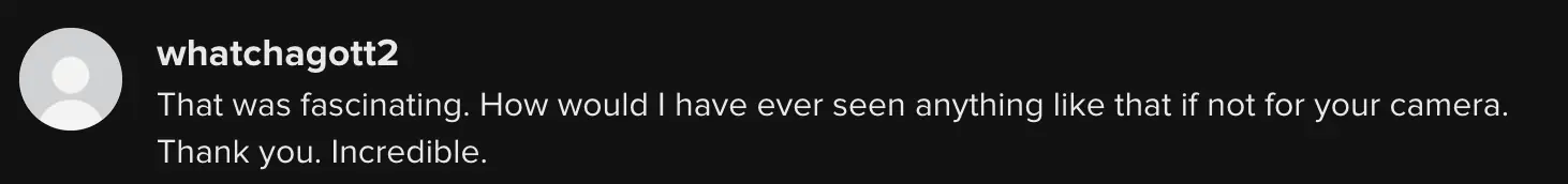 wp-image-1263186067 size-full