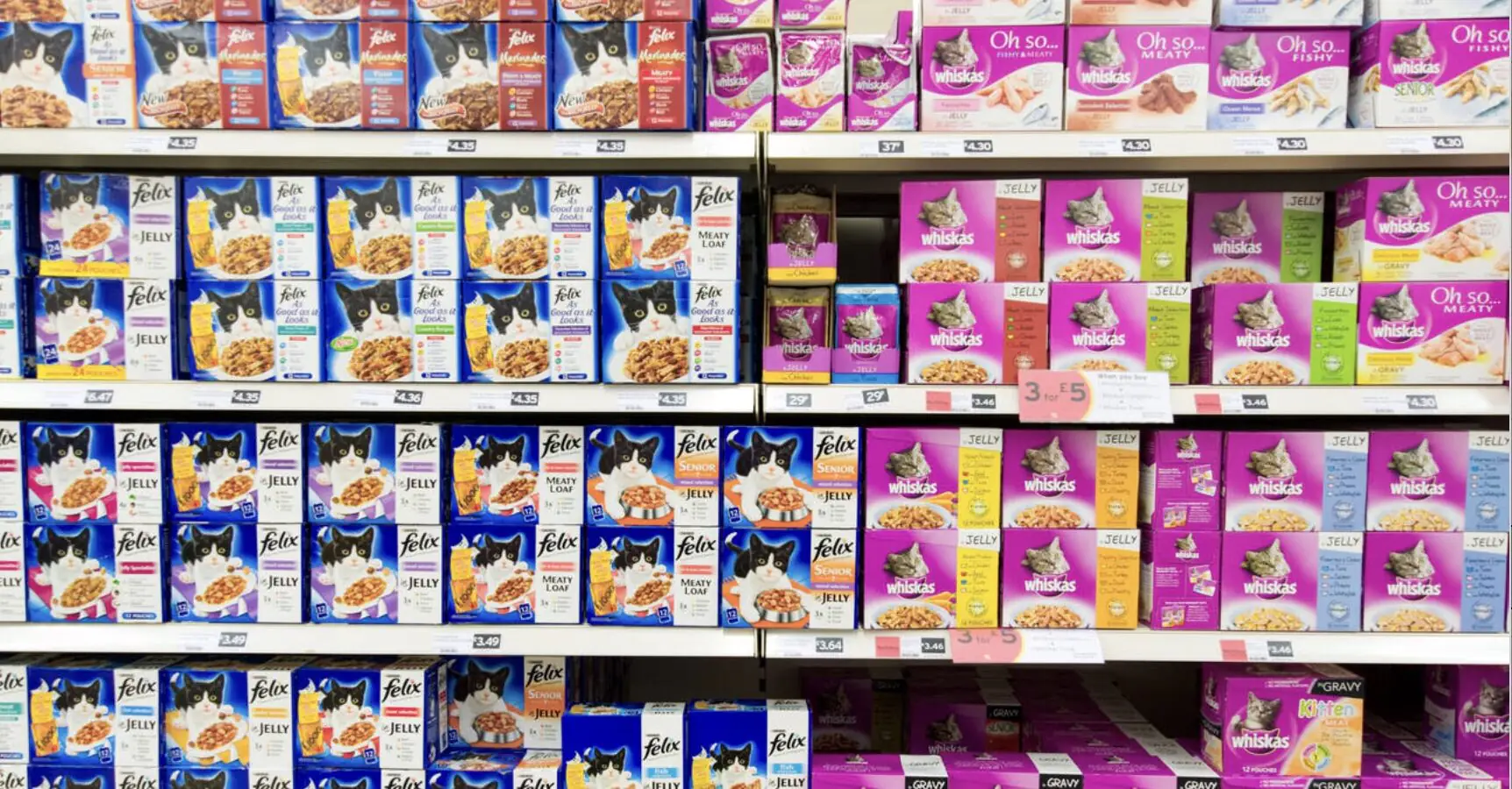 Woman forced to eat cat food for Christmas as she can't afford warm meal