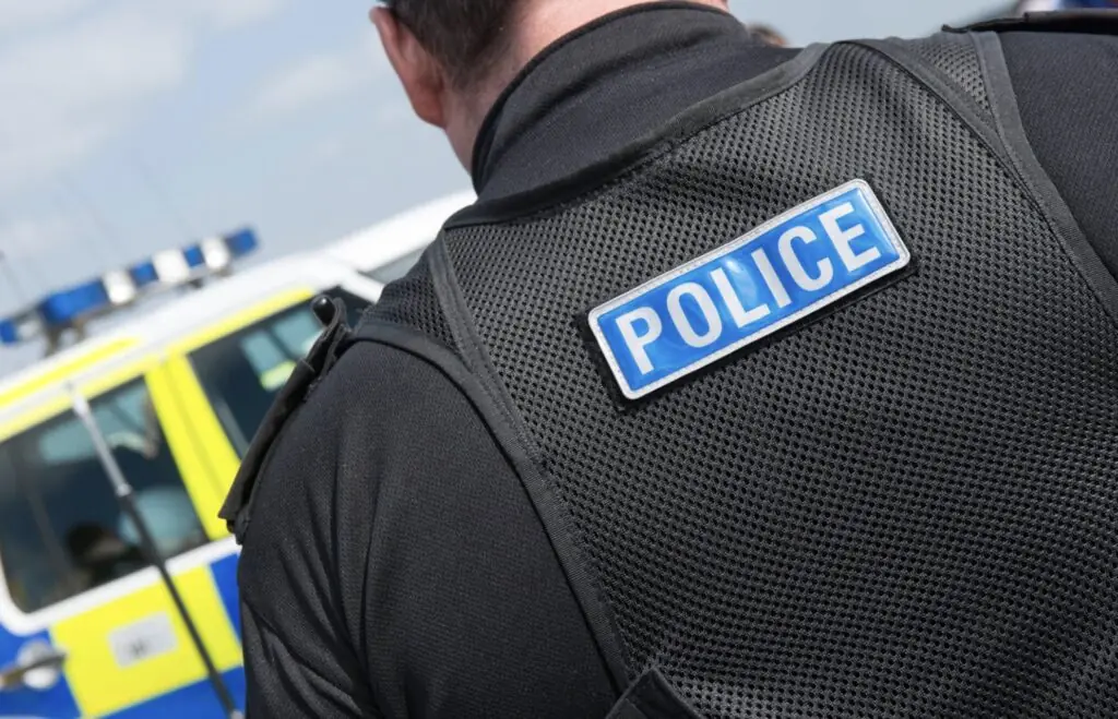 size-large wp-image-1263186275