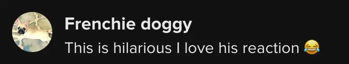 wp-image-1263186432 size-full