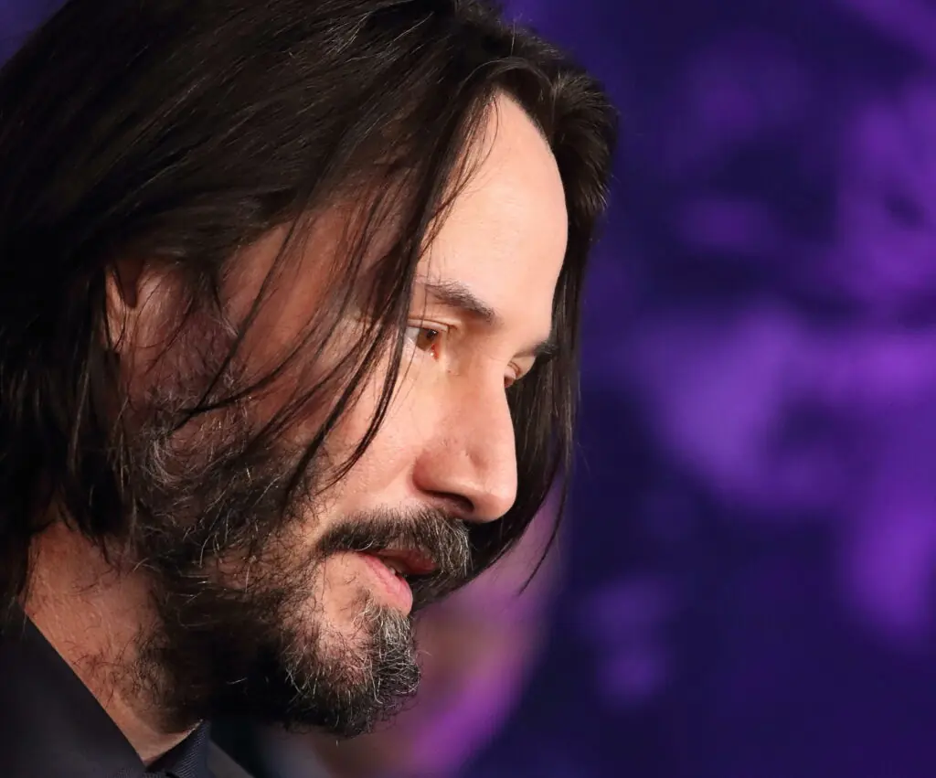 size-large wp-image-1263182745