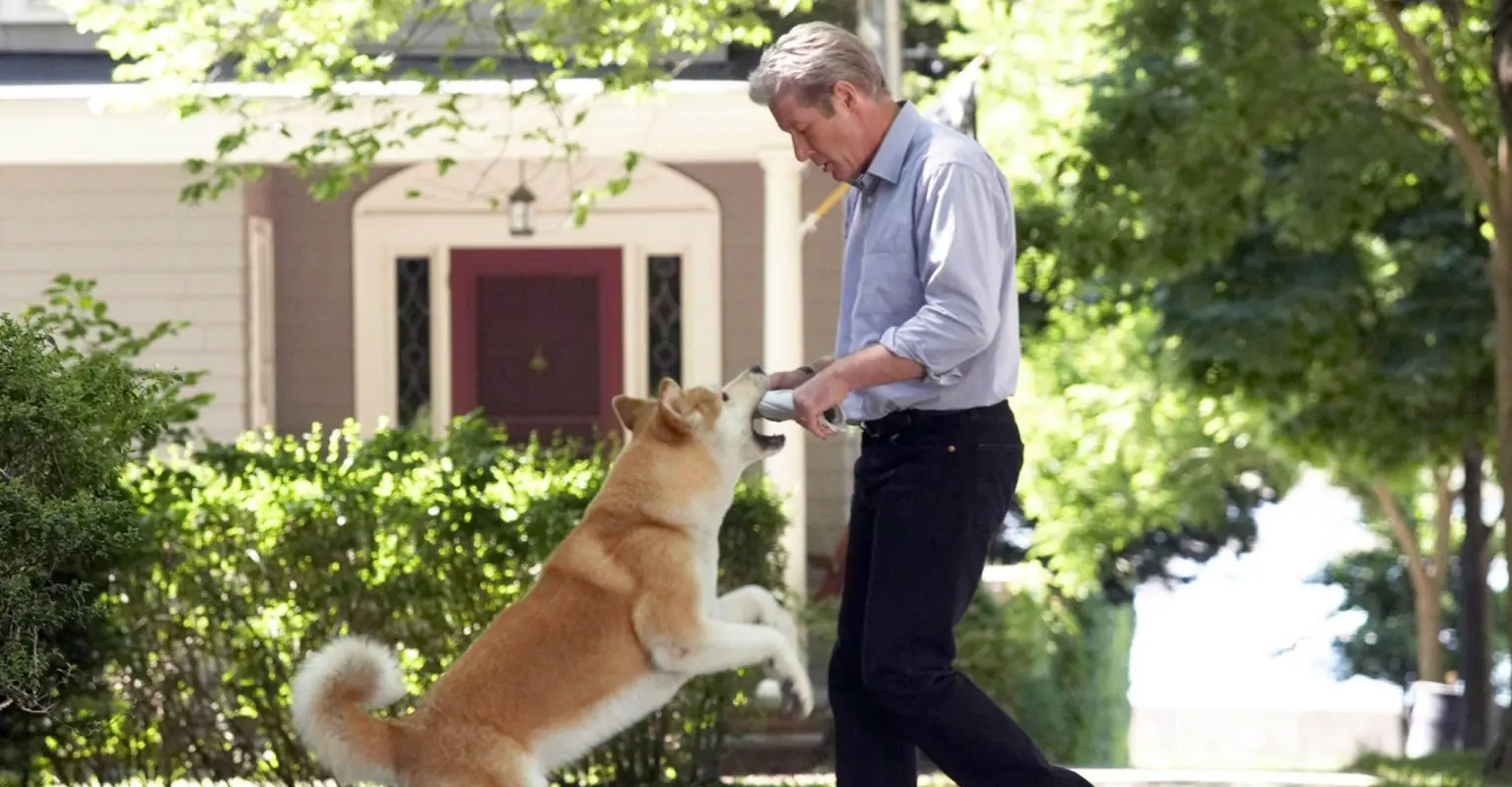 Netflix users issue warning over absolutely devastating movie