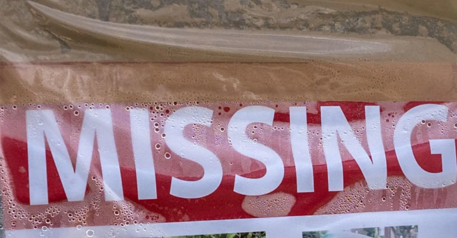 Missing American student studying in France found alive, father says