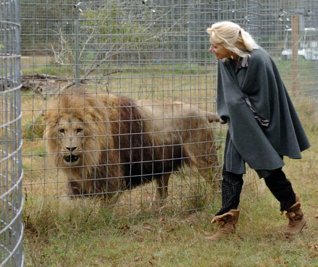 size-large wp-image-1263190097