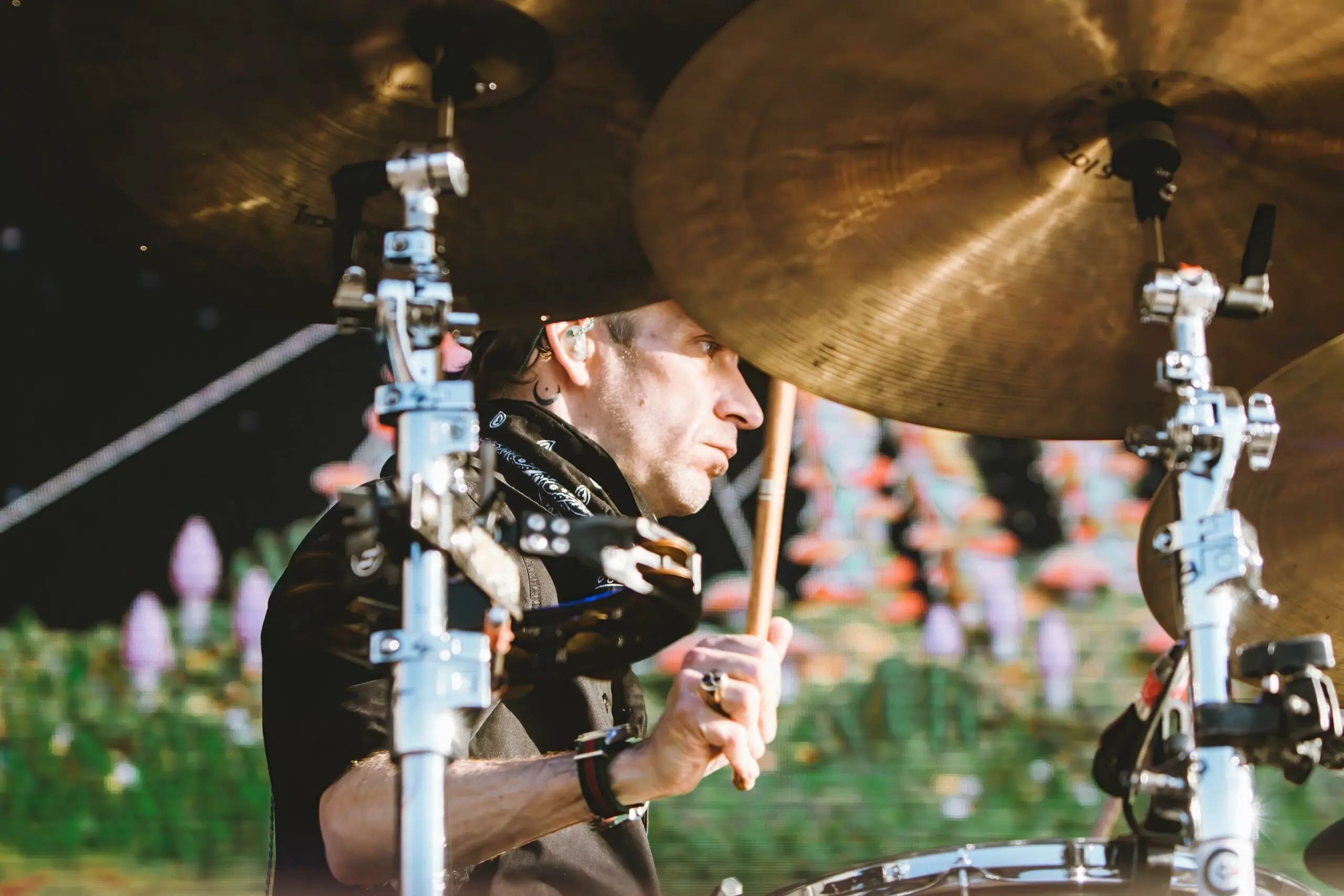 wp-image-1263187146 size-full